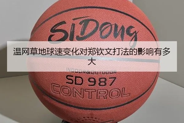 温网草地球速变化对郑钦文打法的影响有多大